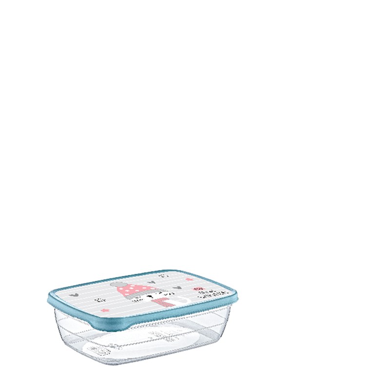 02 0901- 0,6  LT DECO TREND STORAGE BOX	 l20.5	W20.5	H4.5