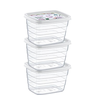 02 0899 ( 3*2,2 LT DECO TREND STORAGE BOX )