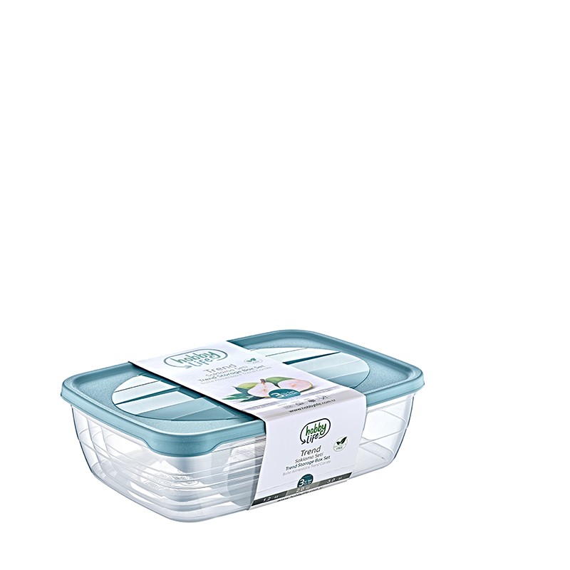 02 1012-TREND STORAGE BOX SET OF 3  (1,2+2+3 LT)              	L19.5	W27.5	H8.5